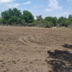 WhatsApp Image 2019-10-28 at 18.25.40