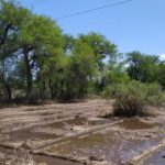 WhatsApp Image 2019-10-28 at 18.31.01