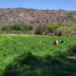 WhatsApp Image 2019-10-28 at 18.34.17