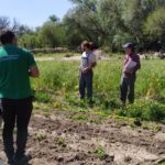 WhatsApp Image 2019-10-28 at 18.34.35