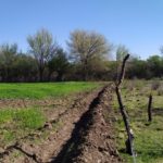 WhatsApp Image 2019-10-28 at 18.34.55