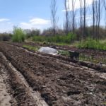 WhatsApp Image 2019-10-28 at 18.34.56 (1)