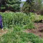 WhatsApp Image 2019-10-28 at 18.40.05