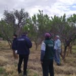 WhatsApp Image 2019-10-28 at 18.40.07