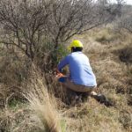 WhatsApp Image 2019-10-28 at 18.40.09