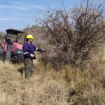 WhatsApp Image 2019-10-28 at 18.40.14