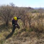 WhatsApp Image 2019-10-28 at 18.40.15