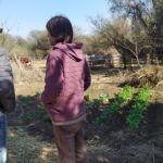 WhatsApp Image 2019-10-28 at 18.40.19