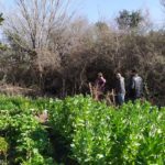 WhatsApp Image 2019-10-28 at 18.40.21