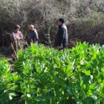 WhatsApp Image 2019-10-28 at 18.40.22