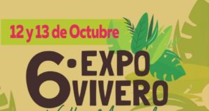 Llega la Expo Vivero a Villa Mercedes