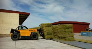 Avanza un plan integral para duplicar la exportación de alfalfa hacia Medio Oriente