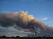 En la región centro, hay casi 3 millones hectáreas en riesgo de incendios
