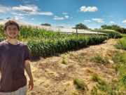 San Luis: se abre el abanico de cultivos para el centro árido de la Argentina