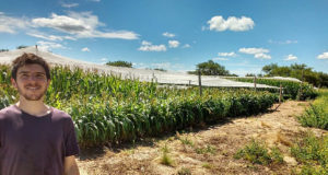 San Luis: se abre el abanico de cultivos para el centro árido de la Argentina