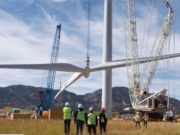 Empresa de energía eólica suspendió obras y despidió trabajadores