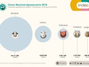 Resultados preliminares del Censo Nacional Agropecuario 2018