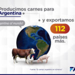 1-Campo-en-Numeros-Carne