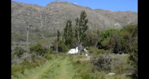 Los campos según el tipo jurídico en San Luis