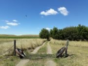 La inseguridad en los campos de San Luis, según el Censo 18