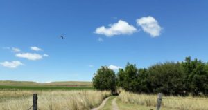 La inseguridad en los campos de San Luis, según el Censo 18