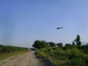En Mendoza se pulverizaron 25 mil hectáreas por la lobesia botrana