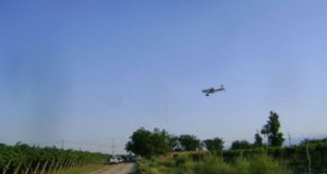 En Mendoza se pulverizaron 25 mil hectáreas por la lobesia botrana