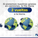 2-Campo-en-Numeros-Granos-Camiones