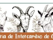 El sábado se realiza la 4° Feria de Intercambio de Chivos