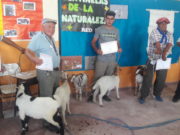 Feria de Chivos: “La fortaleza está en la organización”