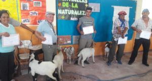 Feria de Chivos: “La fortaleza está en la organización”