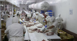 Salió el primer embarque de carne porcina de alto valor agregado a China
