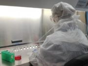 Los laboratorios avanzan en la investigación de la carne sintética