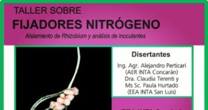 Taller en INTA sobre fijadores de nitrógeno