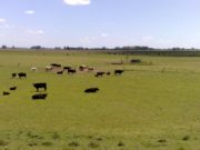 Agroindustria prepara una herramienta para medir el impacto económico
