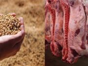 Señales por continuar con las exportaciones de granos y carnes