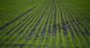 Agricultura presentó la metodología de Prospectiva Agrícola 2030