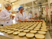 Semana de producción de dulce en la planta piloto de la FICA