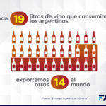 4-Campo-en-Numeros-Vinos