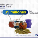 6-Campo-en-Numeros-Yerba