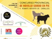 La Rural de San Luis sorprende con un concurso de novillo gordo en pie y remate de caballos