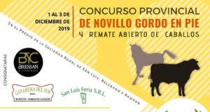 La Rural de San Luis sorprende con un concurso de novillo gordo en pie y remate de caballos
