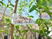 San Luis: el Plan de Reconversión Productiva llegará ahora al departamento Chacabuco