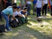 Liberaron en San Luis 40 aves rescatadas del mascotismo
