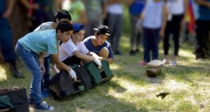 Liberaron en San Luis 40 aves rescatadas del mascotismo