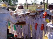 Niños «apicultores por un día» en la Facultad de Villa Mercedes