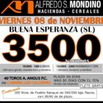 Mondino Buena Esperanza – Anuncio