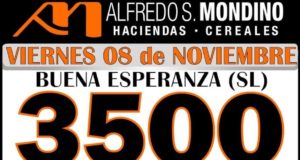 Mañana en Buena Esperanza: remate de vacunos y especial de toros