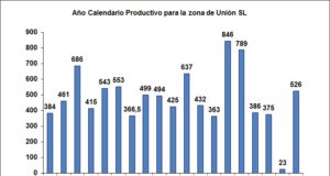San Luis: por la sequía, la vaca de cría está muy comprometida en el sudoeste de Dupuy