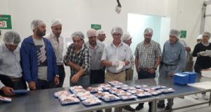La venta de corderos en cortes envasados ilusiona a los productores de San Luis